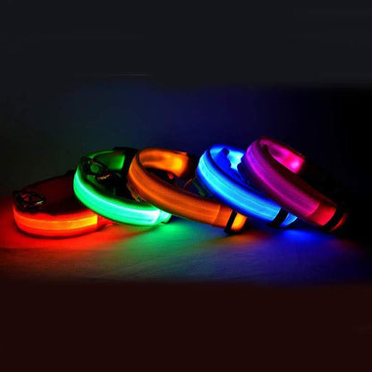 🔥Limited-time discount✨ LED Pet Dog Glow Collar