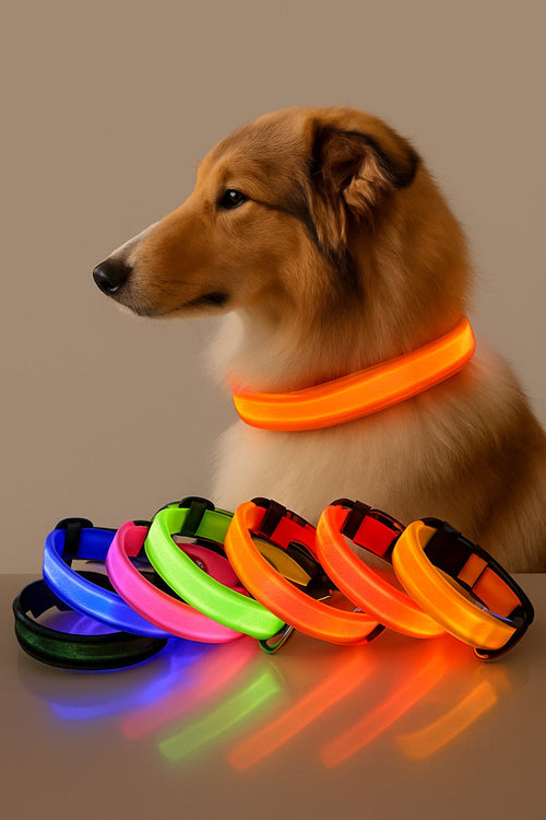 🔥Limited-time discount✨ LED Pet Dog Glow Collar