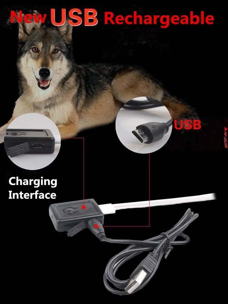 🔥Limited-time discount✨ LED Pet Dog Glow Collar