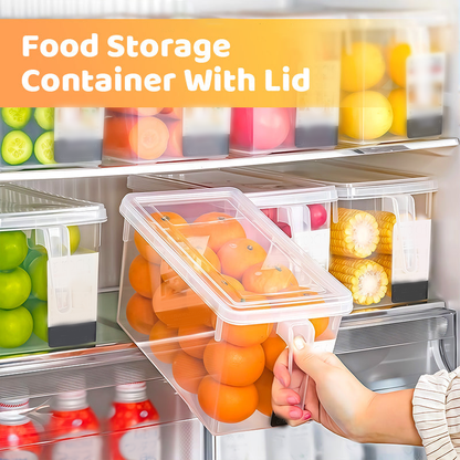 🔥Limited-time discount✨Clear food storage container with lid